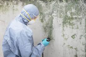 Mold Remediation for Rental Properties in Shelby, MT